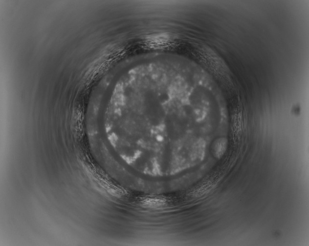 X0000115720653200912031552