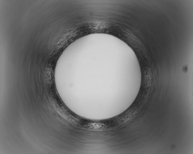 X0000115720654200912031552