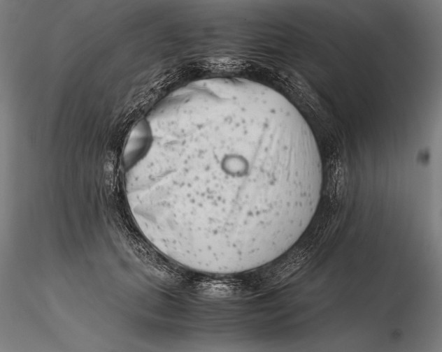 X0000115720655200912031552