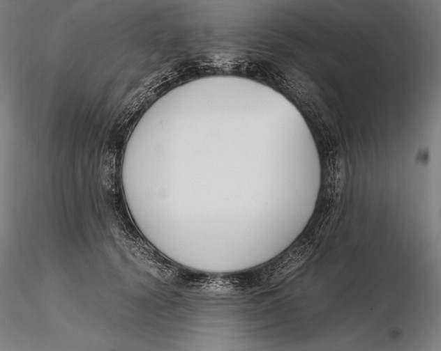 X0000115720656200912031552