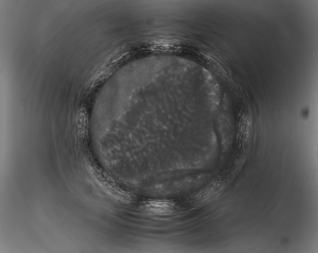 X0000115720659200912031552