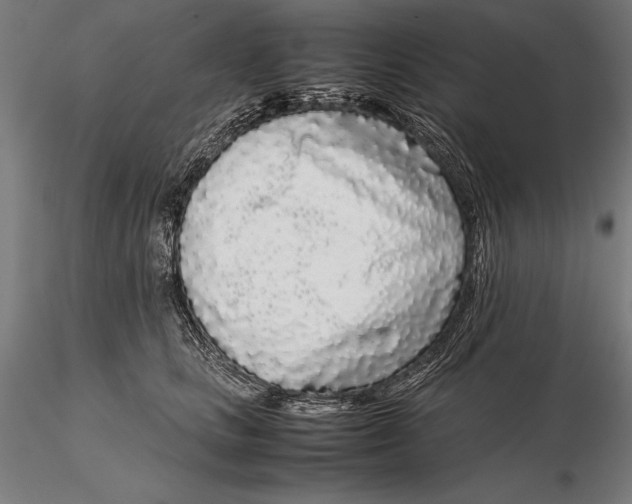 X0000115720661200912031552