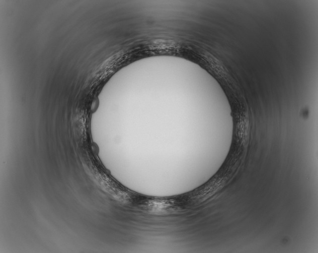 X0000115720662200912031552