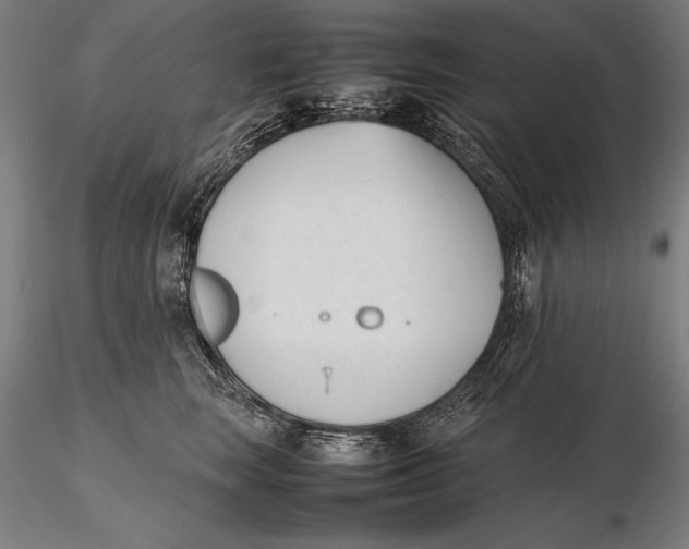 X0000115720663200912031552