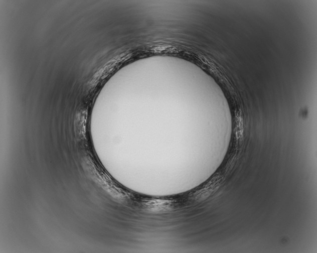 X0000115720664200912031552