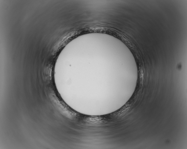 X0000115720668200912031552