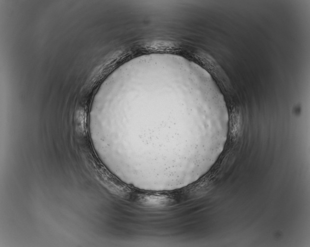 X0000115720669200912031552