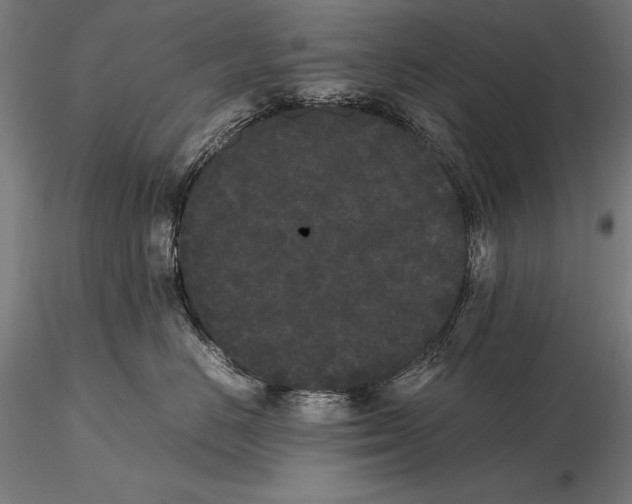 X0000115720670200912031552