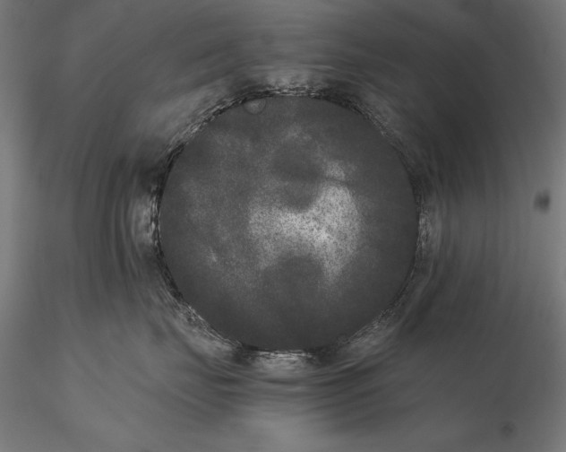 X0000115720671200912031552
