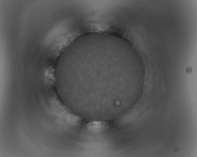 X0000115720672200912031552