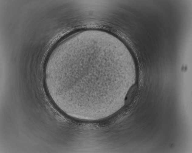 X0000115720673200912031551