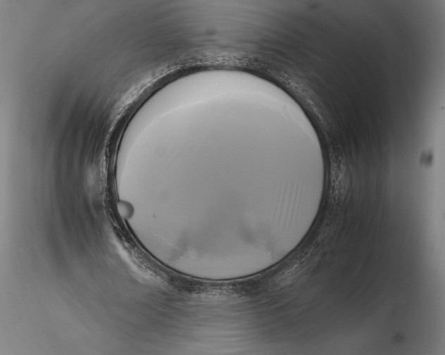 X0000115720674200912031551