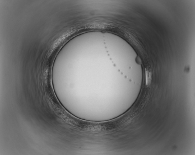 X0000115720675200912031551