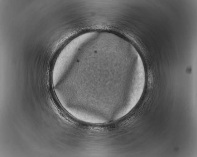 X0000115720677200912031551