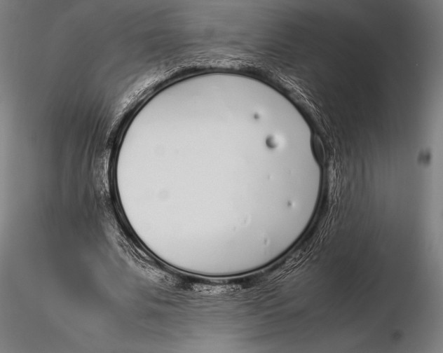 X0000115720679200912031551
