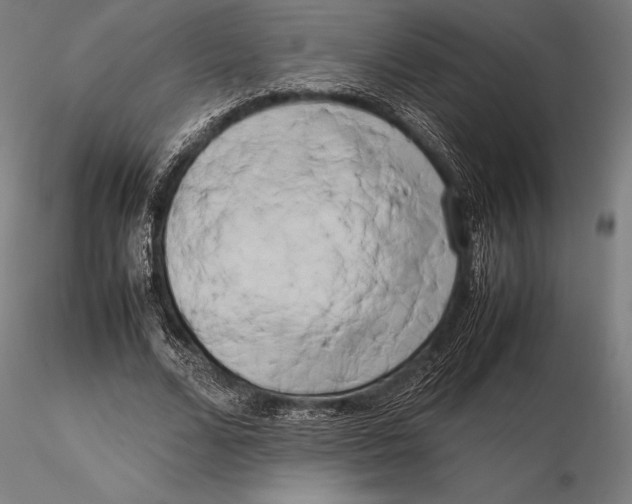 X0000115720680200912031551