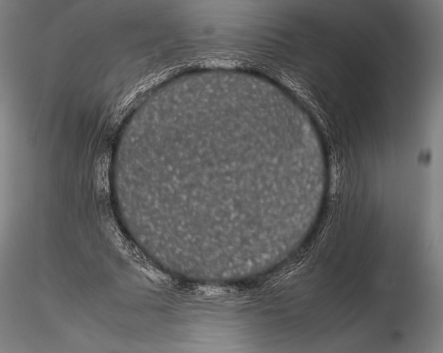 X0000115720681200912031551