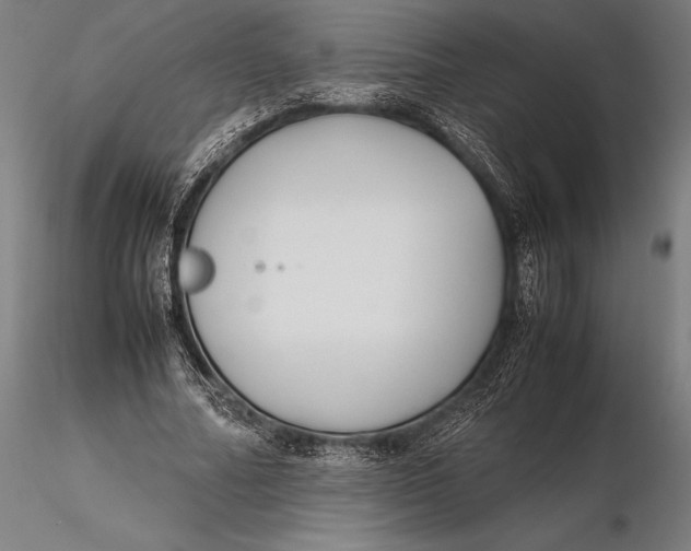 X0000115720682200912031551