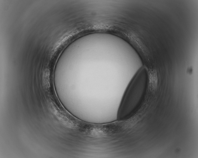 X0000115720684200912031551