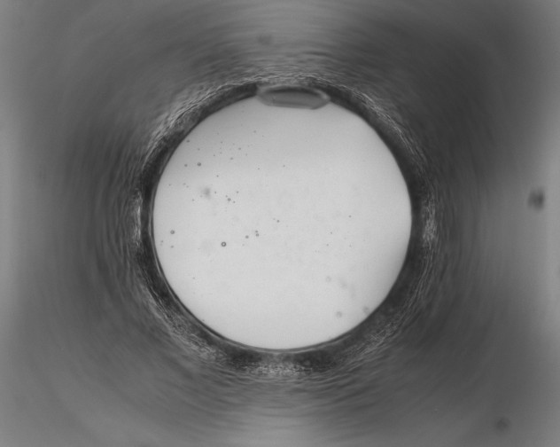 X0000115720685200912031551