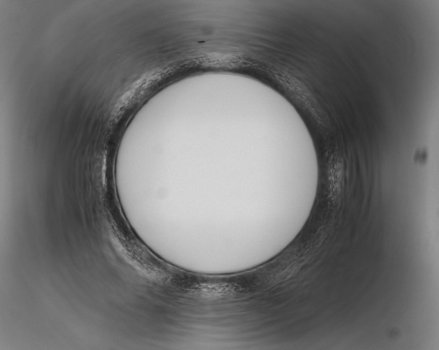X0000115720686200912031551