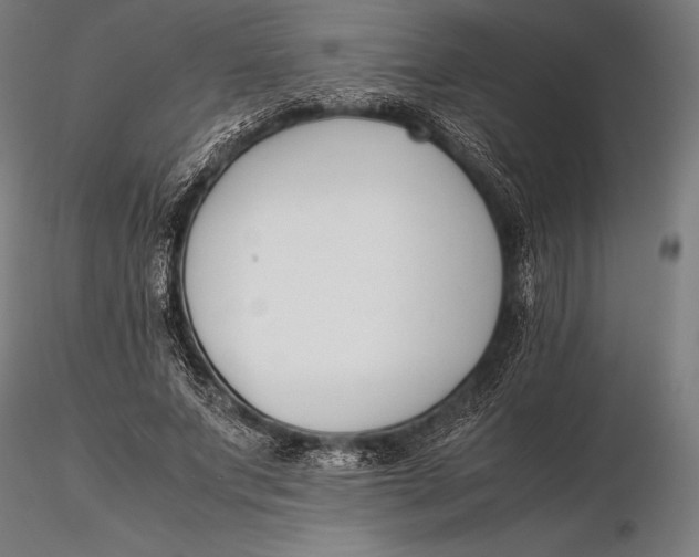 X0000115720687200912031551