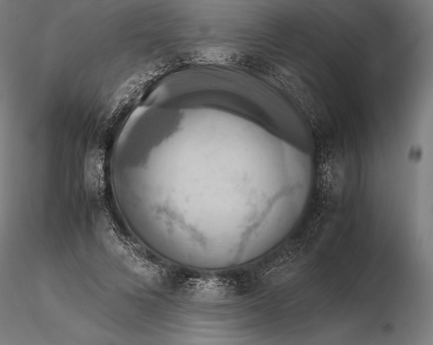 X0000115720688200912031551
