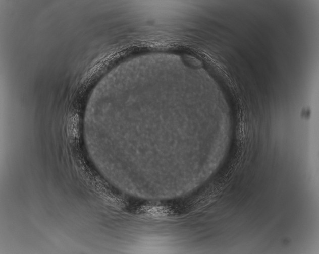 X0000115720689200912031551