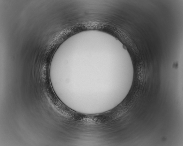 X0000115720690200912031551