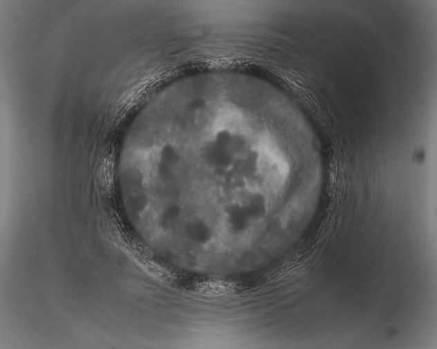 X0000115720691200912031551