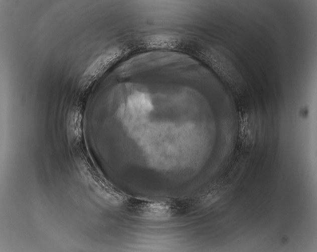 X0000115720692200912031551