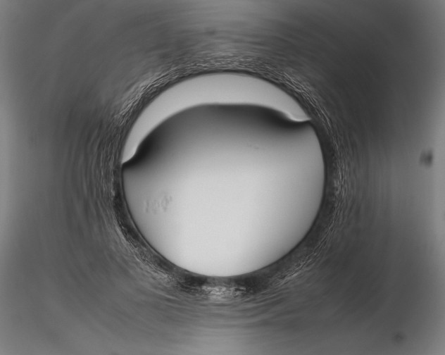 X0000115720693200912031551