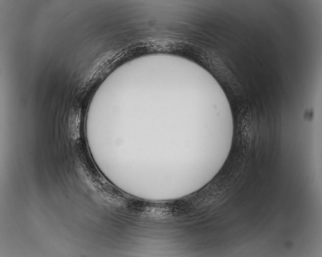 X0000115720694200912031551