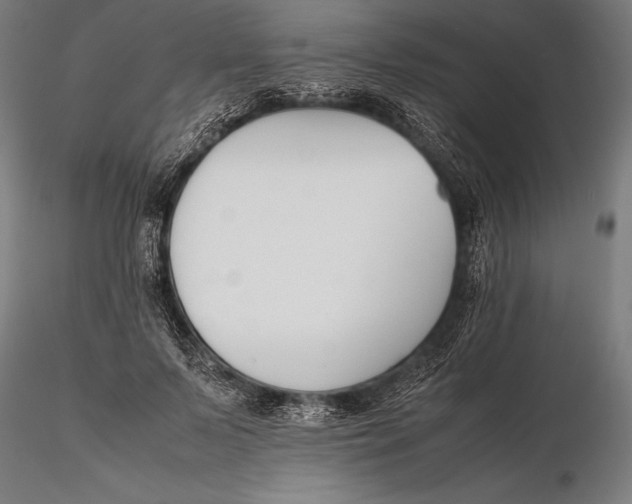 X0000115720695200912031551