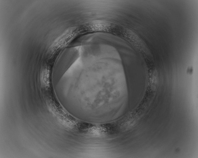 X0000115720696200912031551