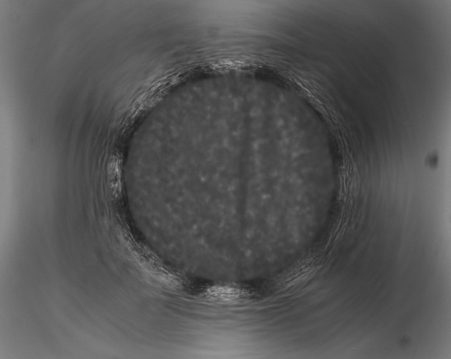 X0000115720699200912031551