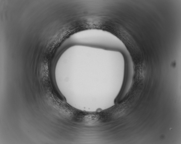 X0000115720700200912031551