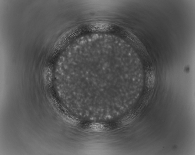 X0000115720701200912031551