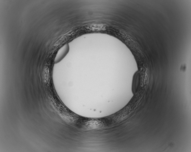 X0000115720704200912031551