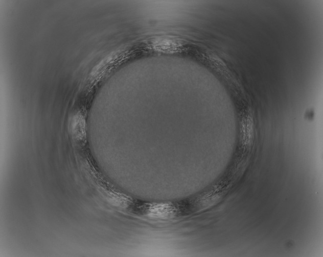X0000115720705200912031551