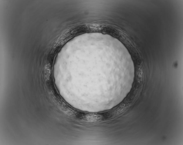 X0000115720707200912031551