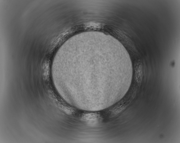 X0000115720708200912031551