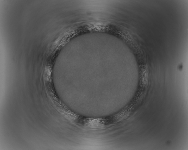 X0000115720709200912031551