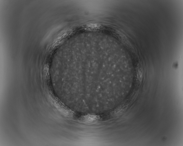 X0000115720711200912031551