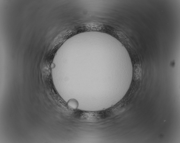 X0000115720713200912031551