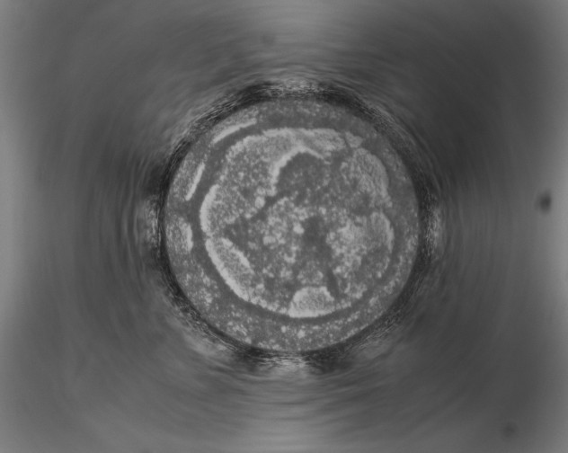 X0000115720715200912031551