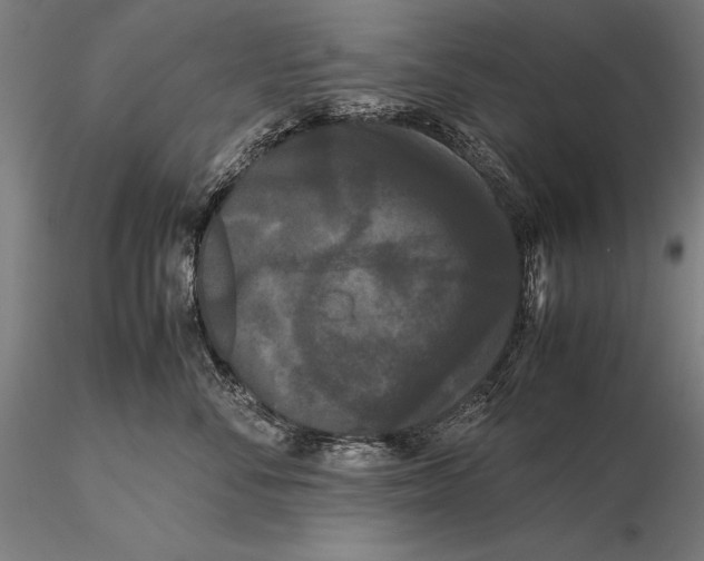 X0000115720716200912031551
