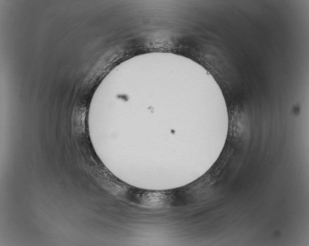 X0000115720717200912031551