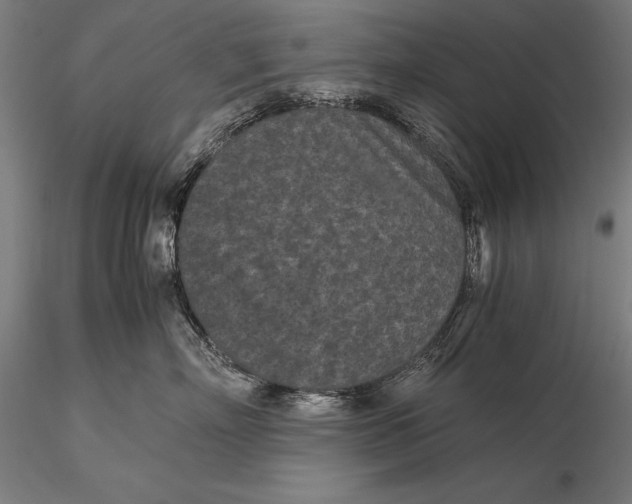X0000115720718200912031551