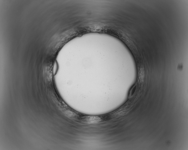X0000115720719200912031551